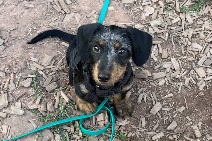 mariolazuhausegefunden