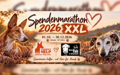 Spendenmarathon bei FB