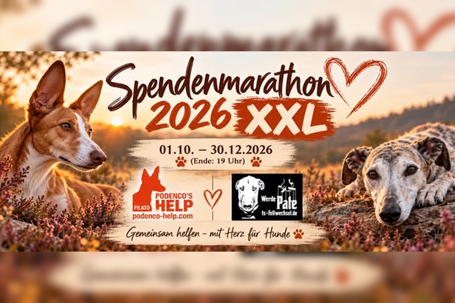 spendenmarathon2026, claudia strehlow
